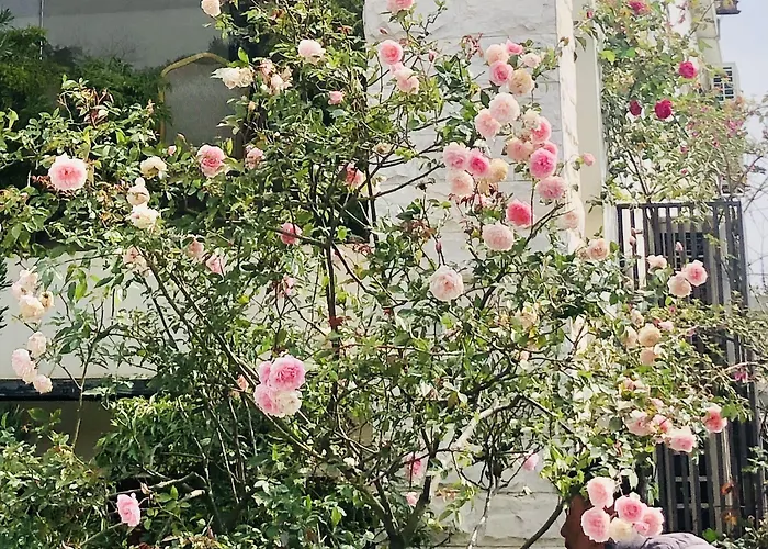 Hidden Charm